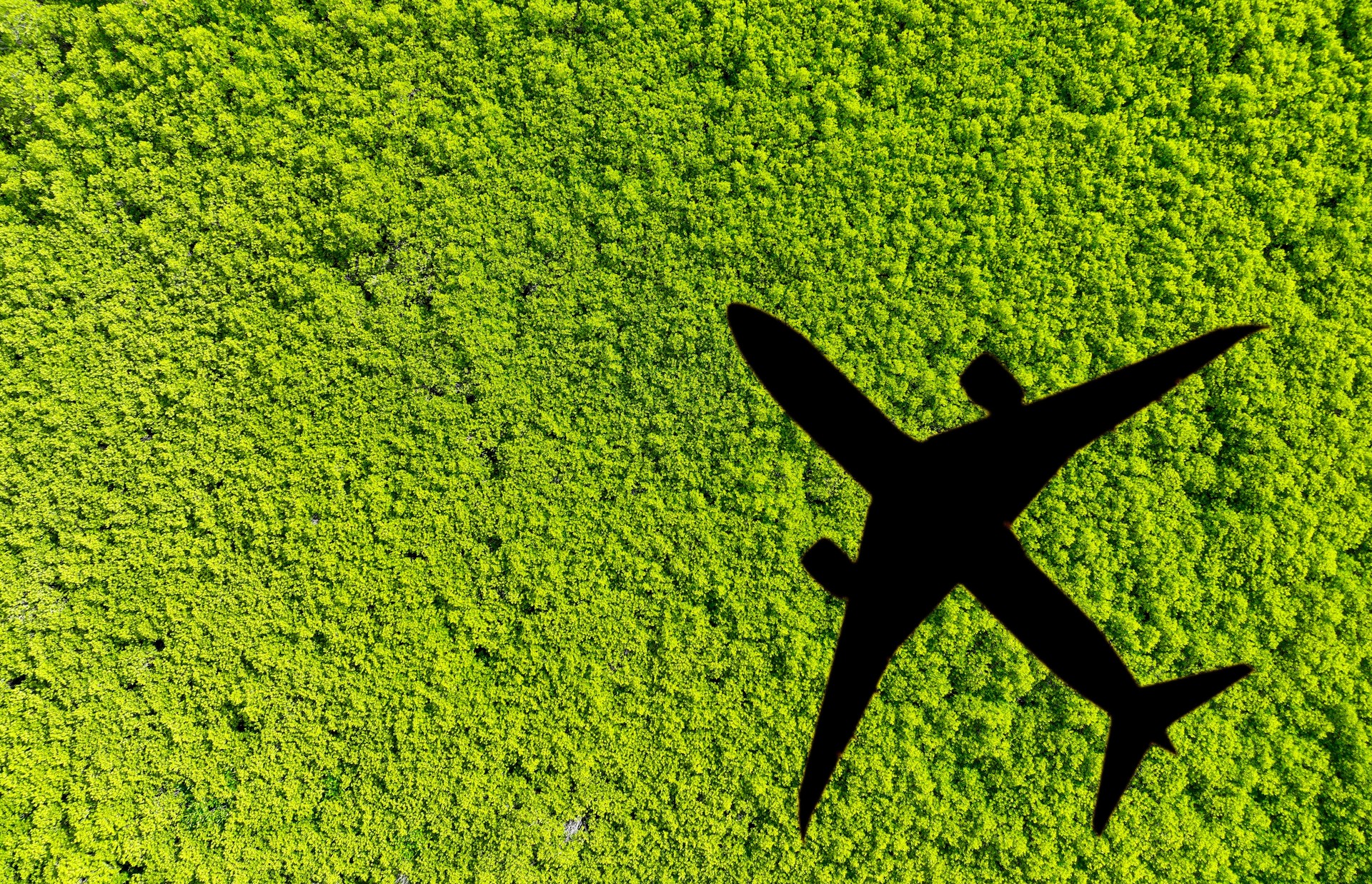 Shadow airplane flying above green mangrove forest. Sustainable fuel. Use biofuel in aviation for sustainable transportation. Reduction carbon emissions. Eco-friendly flight. Aviation sustainability.